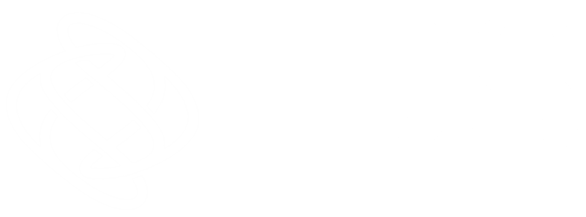 IDS Technologie